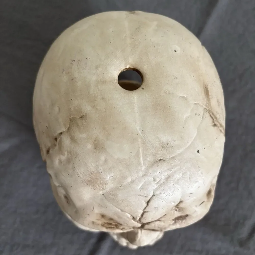 VINTAGE DALTON CERAMIC SKULL CANDLE TEALIGHT HOLDER Planter Spooky Halloween